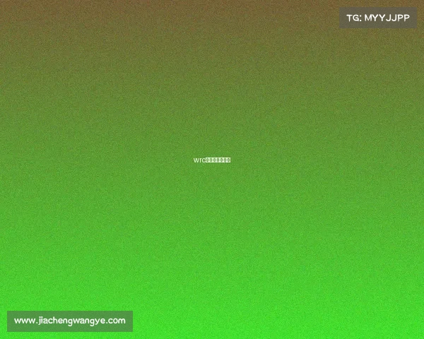 wrc拉力赛飙车现场