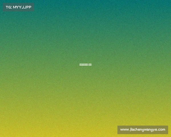 香港篮球赛事 经理